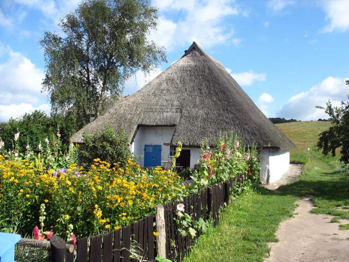 Ferienhaus Zum Boddenstrand Mit Ka Groß Zicker Exteriér fotografie
